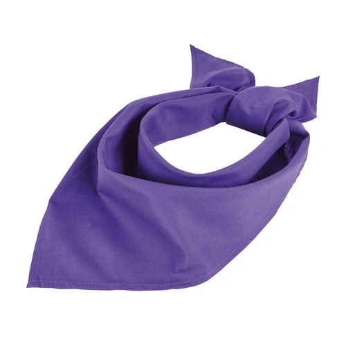 BANDANA SOL'S BANDANA REF S01198